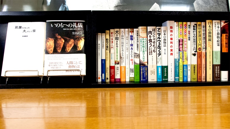 本棚4