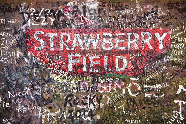 Strawberry Fields